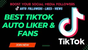 TikTok Coins Auto Followers Likers & Views 2023